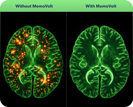 MemoVolt